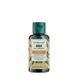 Ginger Anti-Dandruff Shampoo