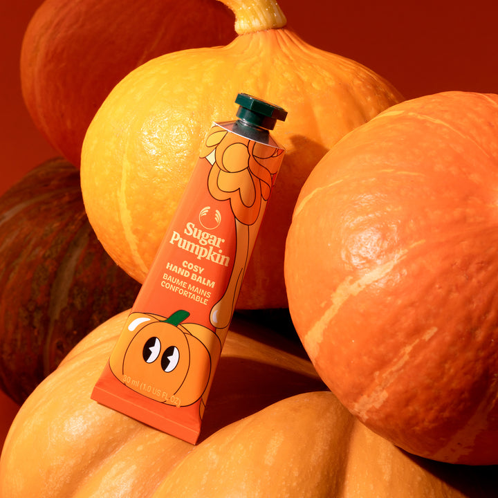 The Ultimate Sugar Pumpkin Collection