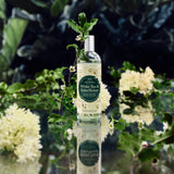 Ultimate White Tea & Elderflower Collection